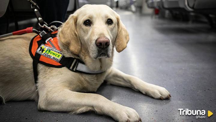 El 'Proyecto Vivir' reúne en Salamanca a las principales voces sobre discapacidad y dependencia