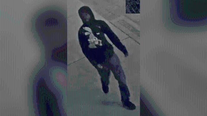 Savannah Police investigating acid attack near Forsyth Park