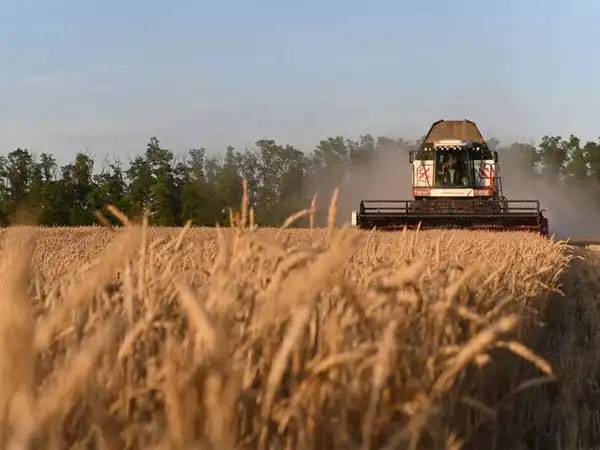 Agri growth estimated to be lower at 4 pc  in FY26: Ramesh Chand