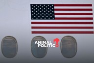 EU restringe visas a responsables de una empresa de transporte mexicana