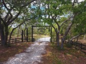 Rural boundaries are 'likely' unconstitutional, Florida AG says