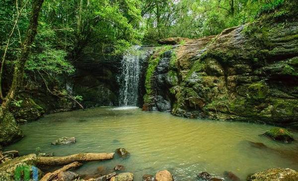 El oasis misionero oculto en medio de la selva virgen, ¿cómo llegar al Parque de la Sierra