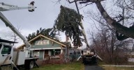 Big Timber continues cleanup from destructive windstorm