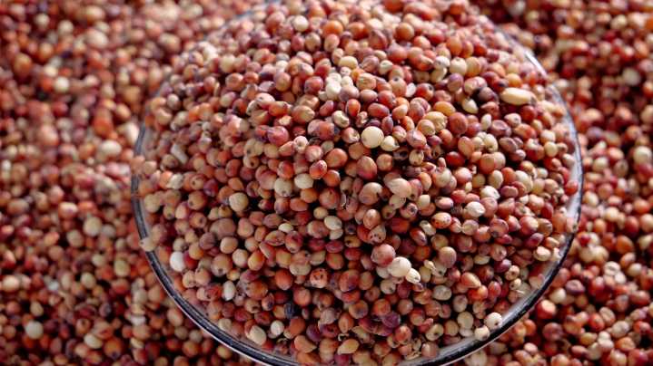The Simple Way To Cook Sorghum Perfectly Every Time