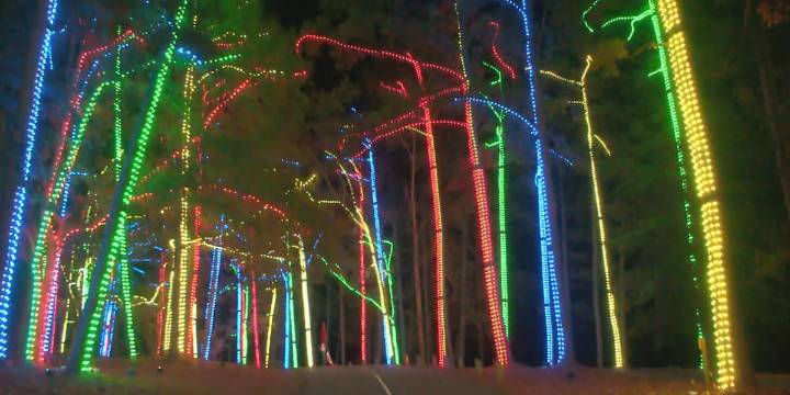 Fantasy in Lights spreads Christmas cheer once again