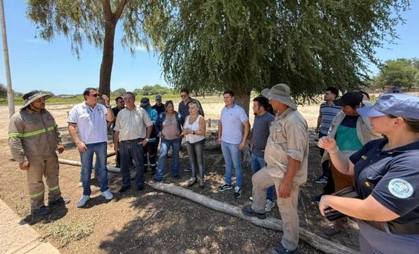 El Gobierno refuerza la infraestructura eléctrica en el interior: los detalles