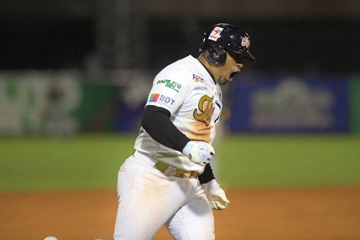 ROSTER SEMANAL. Los Tigres de Aragua recuperan a uno de sus bateadores más productivos