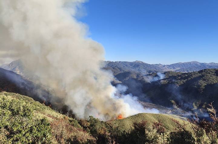 Nagaland: Trekkers visiting protected area in Kohima district trigger fire mishap