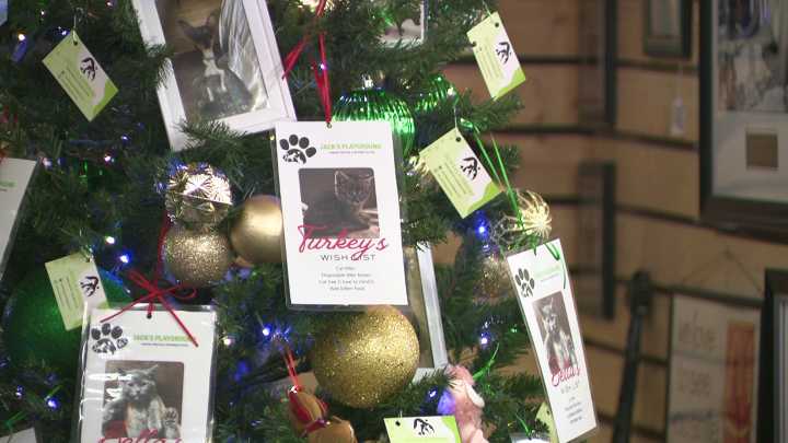 Giving Tree for Jack's Playground highlights supplies needed for local animals in need