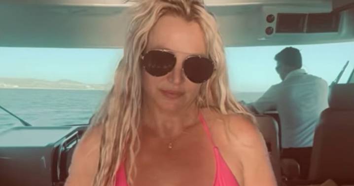 Britney Spears Posing in Pink Bikini Demands Your Attention