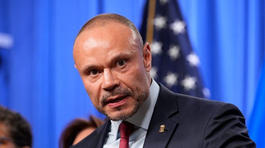 Bongino on past pipe bomb cover-up claim: ‘I was paid … for my opinions’