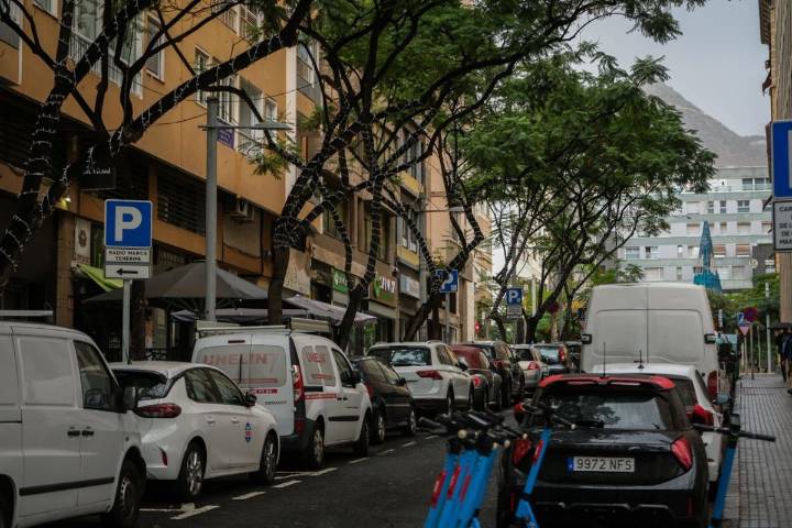 Tarife achaca a asociaciones “politizadas” las críticas al arbolado de Santa Cruz de Tenerife