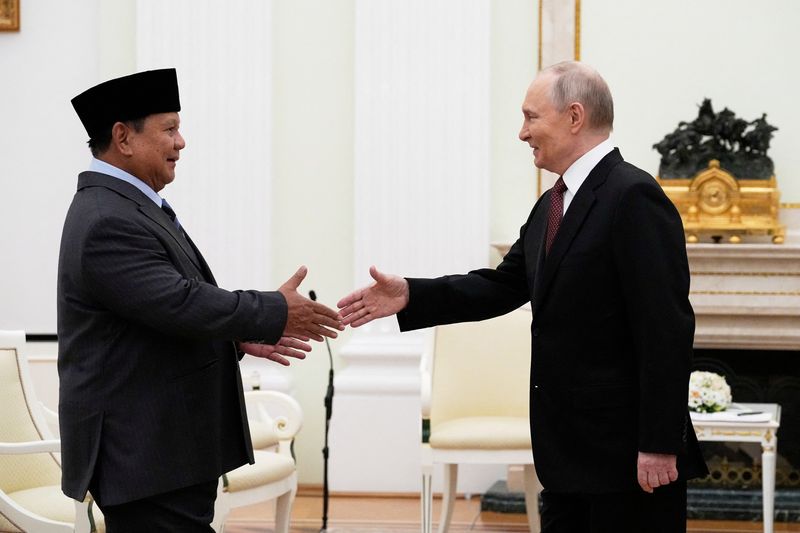 Putin meets Indonesia’s Prabowo to discuss military and energy ties, wheat exports