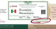 CURP Certificada: ¿Cómo descargarla fácil y rápido en PDF y verificar que sea válida?