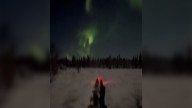 Watch dog sled ride under radiant northern lights in Alaska