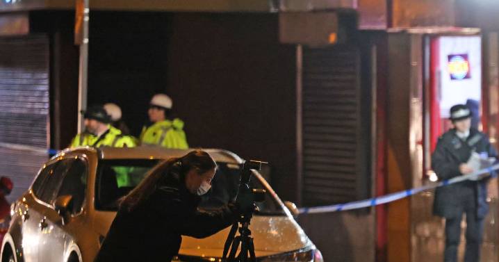 Driver told 'search your conscience' as woman, 81, dies in hit and run