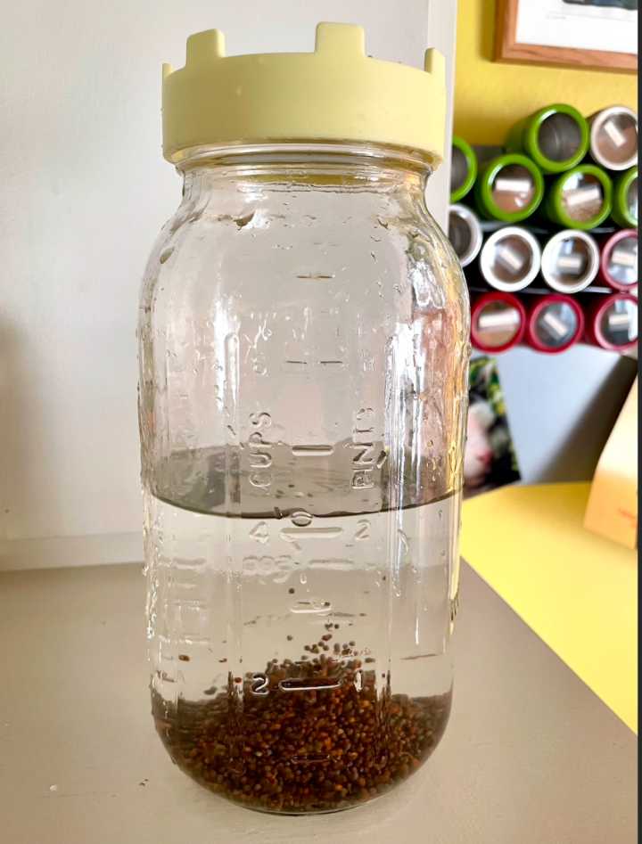 Here's a great resource if you want to start sprouting!