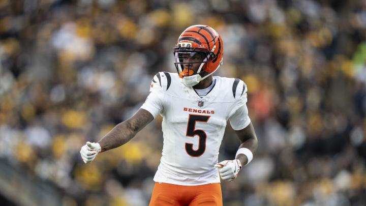 Tee Higgins clears concussion protocol, will play against Bills Sunday