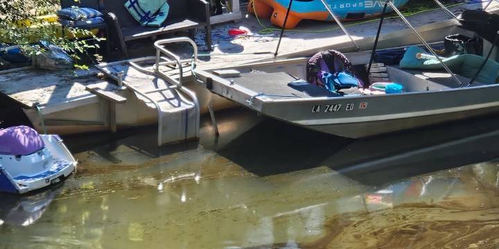 Dozens of oil-covered animals recovered from Smitty’s Supply disaster