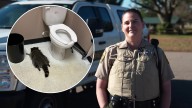 Animal officer recounts rescuing drunk raccoon passed out in Virginia ABC Store bathroom: 'This is a first'