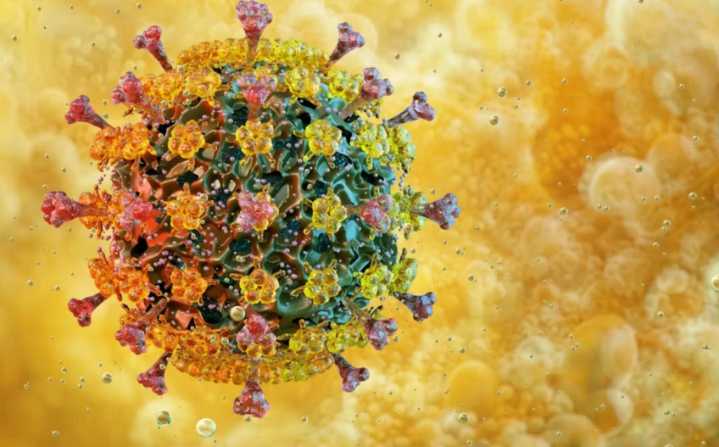 Qué se sabe de la ‘súper gripe’ H3N2 subclado K en México: síntomas y recomendaciones