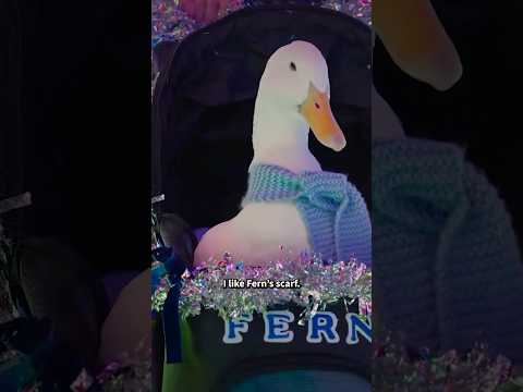 Rescue Pet Duck's Christmas Wish Comes True