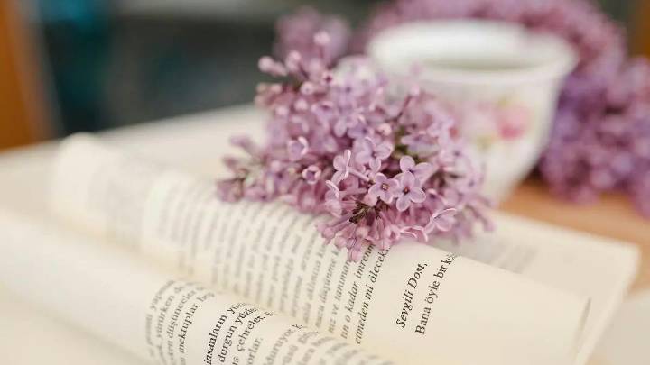 Word of the Day, December 07: ‘Gesso’