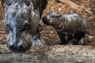 Our world in photos: December 8