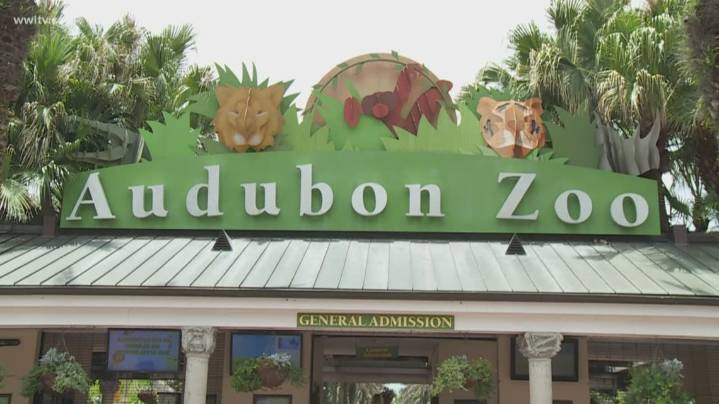 Audubon Institute halts membership sales after backlash over pricing