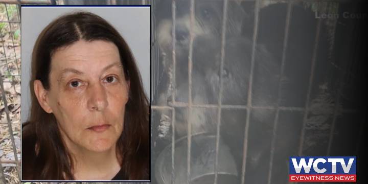 Tallahassee pet rescue owner sentenced to 30 days in jail for animal cruelty