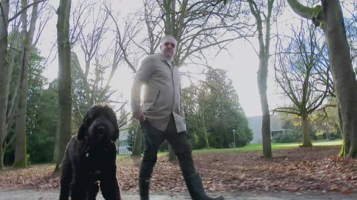 Man saves dogs from coyote in Seattle park