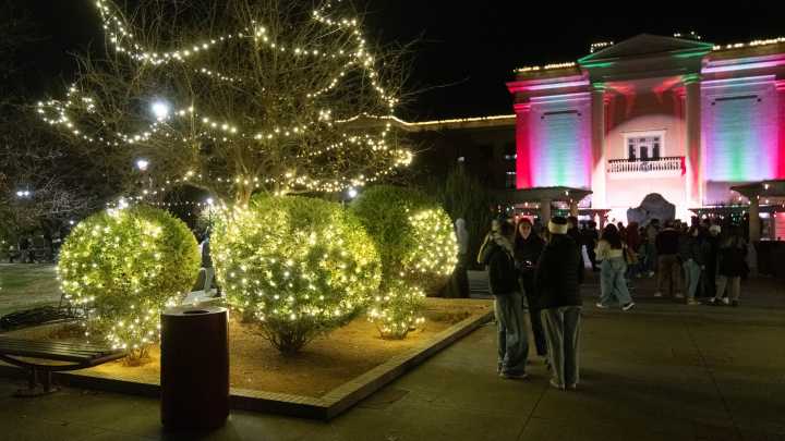 Festival of Lights brings community to WT campus for holiday kickoff