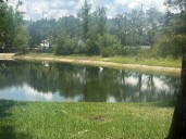 Worst areas of drought improve, but moderate drought expands across the South