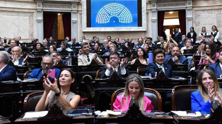 El Congreso terminó un año sabático: sancionó una ley por mes, le vetaron 7 y rechazó 5 DNU