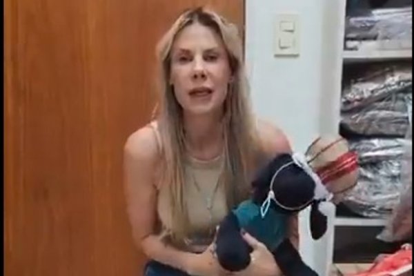 La diputada Karen Reichardt está promocionando la idea de vestir a los perros para Navidad, a pesar del calor