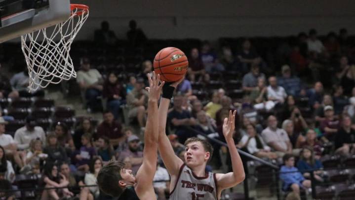 Lions unable to keep pace with San Angelo Lake View in 80