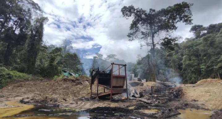Minería ilegal nos deja sin bosques