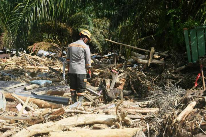 Man Searches for Missing Wife of 25 Years After House Swept Away by Flood
