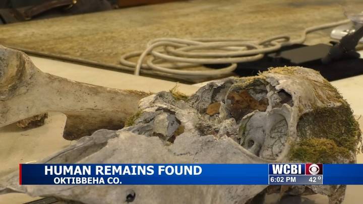 MSU forensic team help identify remains