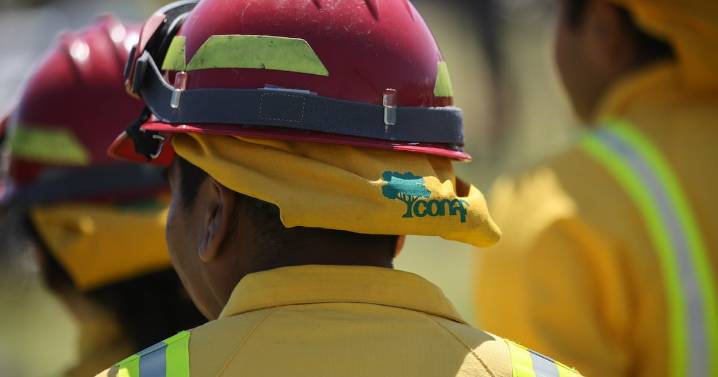Regiones de O’Higgins y Valparaíso: declaran alerta roja en las comunas de Las Cabras y Olmué por incendios forestales