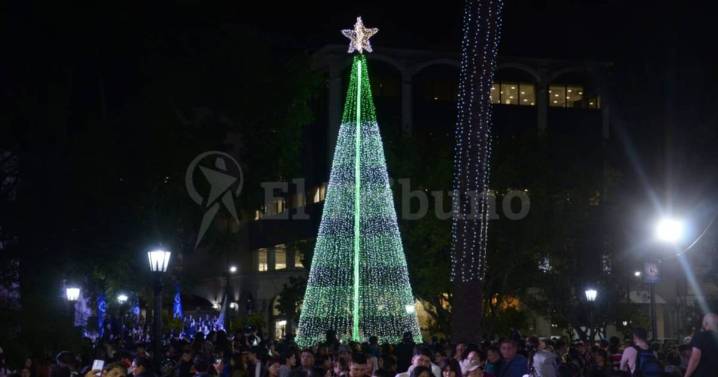 VIDEO. La Plaza 9 de Julio se iluminó con el tradicional encendido del Árbol de Navidad