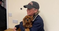 Coney Weston spaniel found safe as puppies still missing
