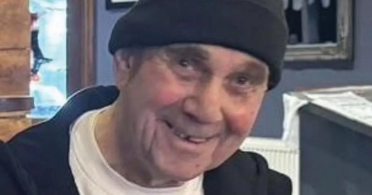 Armed cops fired 19 shots to kill XL Bully that mauled great