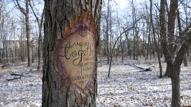 Too much timbercraft in St. Vital park leads Winnipeg to take woodwork down a notch