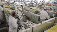 La industria pesquera exige al Gobierno eliminar retenciones
