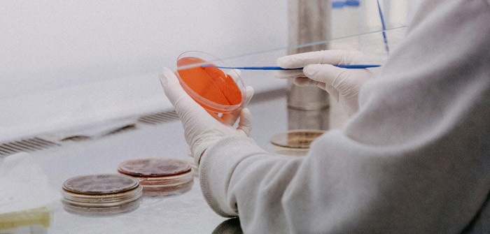 MOTS-c: A Mitochondrial-Derived Peptide with Expanding Frontiers in Research