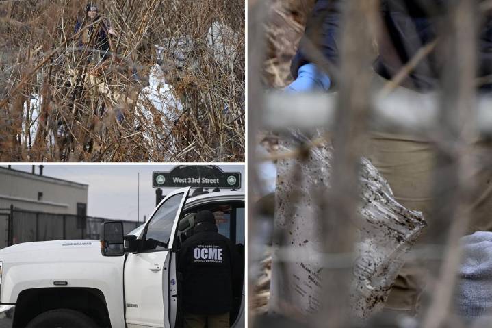 Human skull found in bushes near Coney Island boardwalk