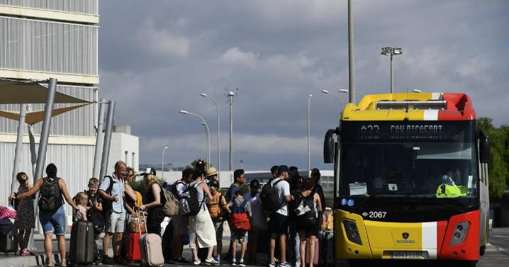 Baleares todavía no ha cobrado «absolutamente nada» por la gratuidad del transporte en 2025