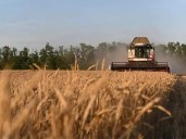 Agri growth estimated to be lower at 4 pc  in FY26: Ramesh Chand