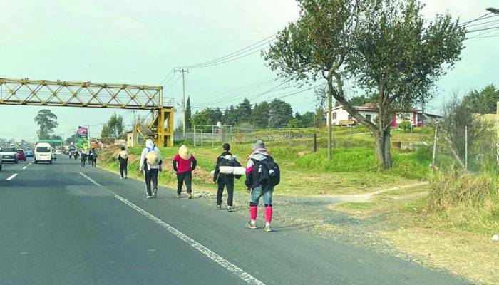 Cientos de peregrinos marchan por carreteras hacia la Basílica de Guadalupe